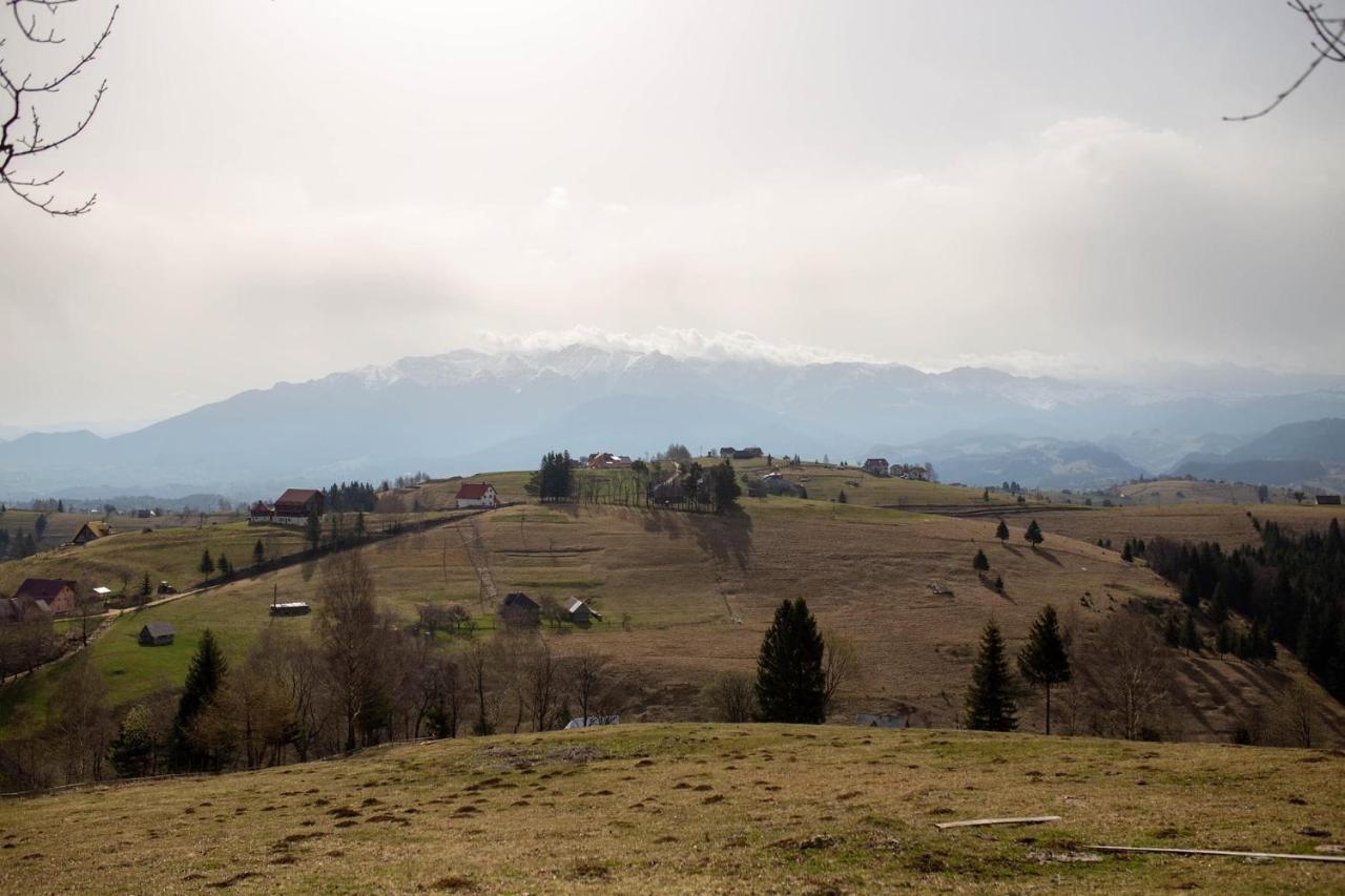 Casa Haiducilor Satic Rucăr 外观 照片