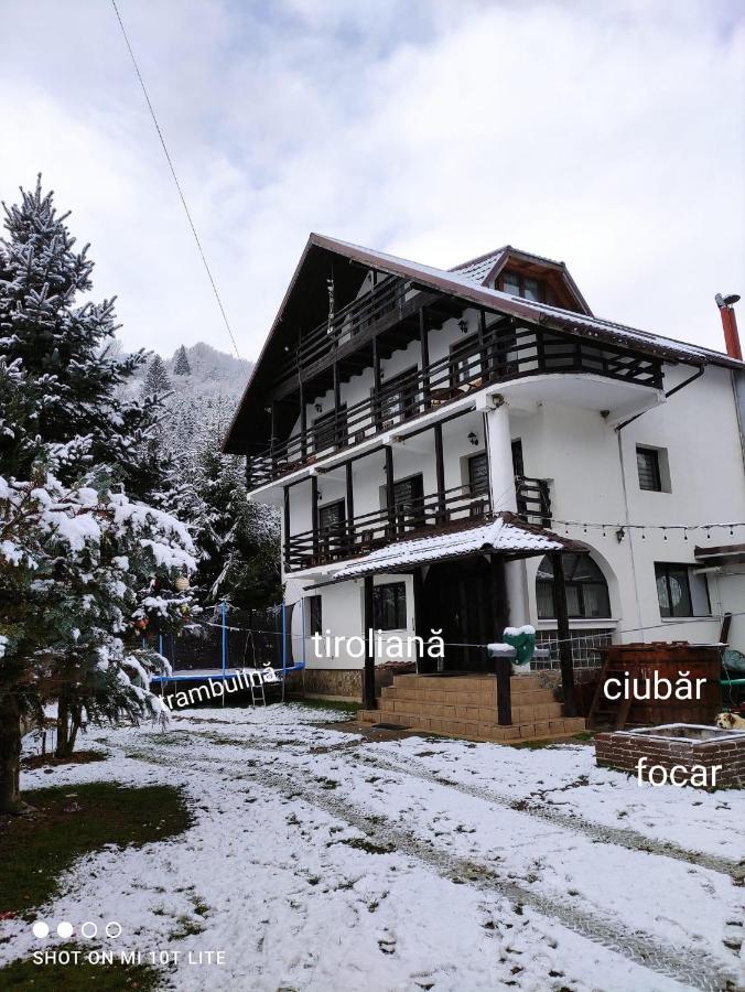 Casa Haiducilor Satic Rucăr 外观 照片